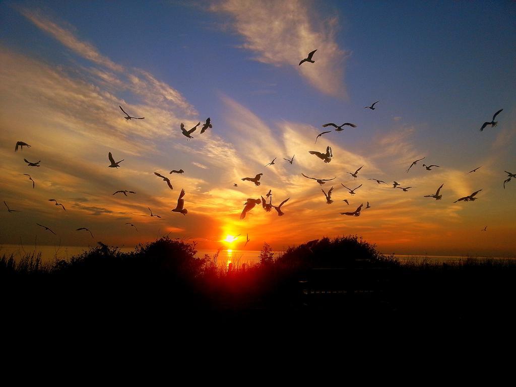 Sunset Guest House Hunstanton Exteriér fotografie Sunset at the beach